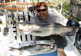 Striper fishing guide service